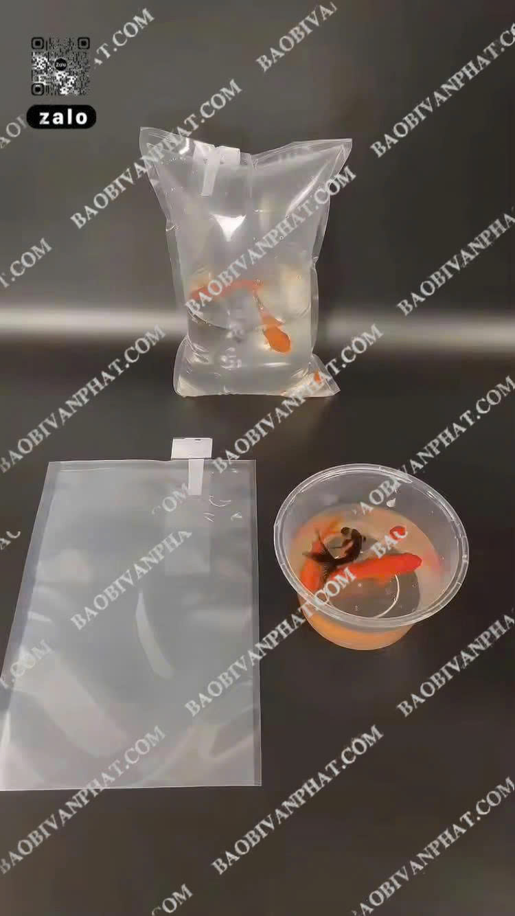 Mẫu túi oxy cá tôm dùng để vận chuyển cá giống