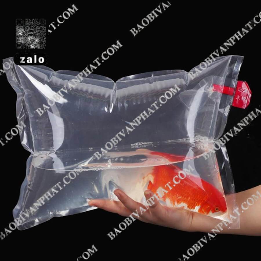 Túi oxy đựng cá giống